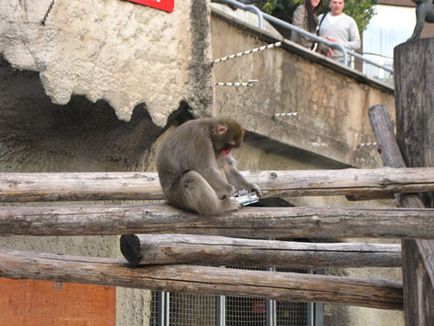 Moscova Zoo fotografie, adresă, metrou, prețurile biletelor, orele de deschidere, cum se ajunge la Moscova