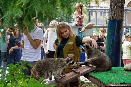 Moscova Zoo pe baricadele din Moscova