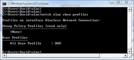 Configurarea conexiunilor wireless în Windows Server 2008 și Windows Vista de cli folosind netsh wlan