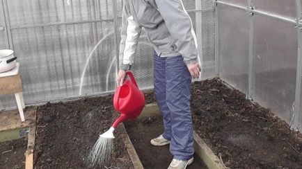 Procesarea sere de boli și dăunători (tratament sere de primăvară) primăvară Procesarea sere de boli și dăunători în primăvară