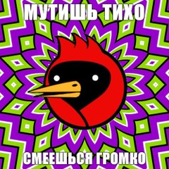 Omsk Crow, câine Netlore sfat, heiko müller, doom aripi, vingedum, Omsk, Omsk Crow, Omsk