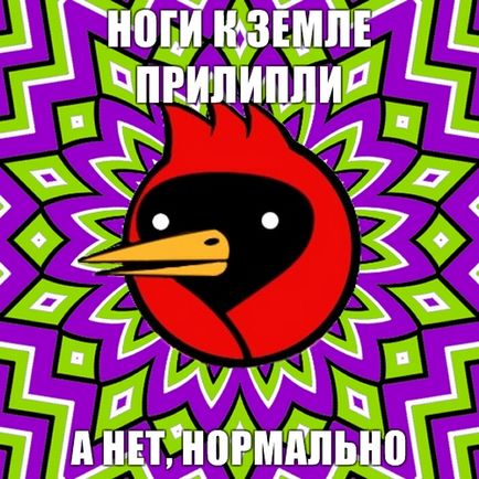 Omsk Crow, câine Netlore sfat, heiko müller, doom aripi, vingedum, Omsk, Omsk Crow, Omsk