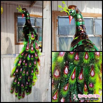 Decorațiunile originale de sticle de plastic Peacock modul de a face propriul