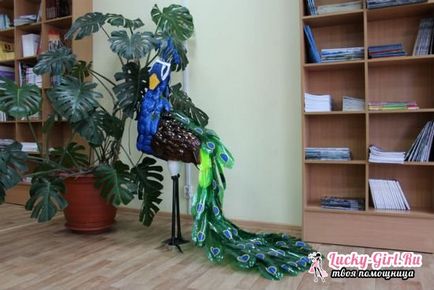 Decorațiunile originale de sticle de plastic Peacock modul de a face propriul