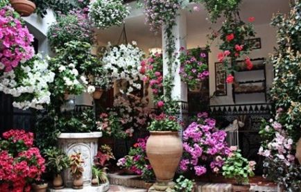 Patio în țară cu propriile lor idei de mâini fotografie de proiectare și îmbunătățire (a construi terase cu propriile lor mâini) Patio în țară cu propriile lor idei mâini fotografie de proiectare si amenajare