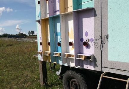 albine conținut Pavilion și descrierea videoclipului