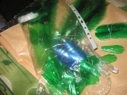 Peacock de clasă p plastic (pas cu pas fotografii) Peacock de p class plastic