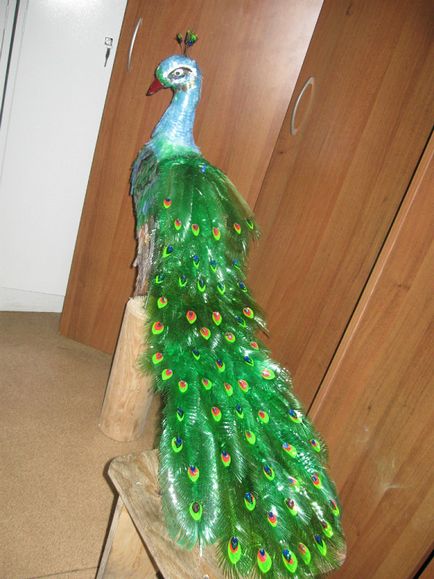 Peacock din p class plastic (păsări din sticle de plastic) Peacock de p class plastic