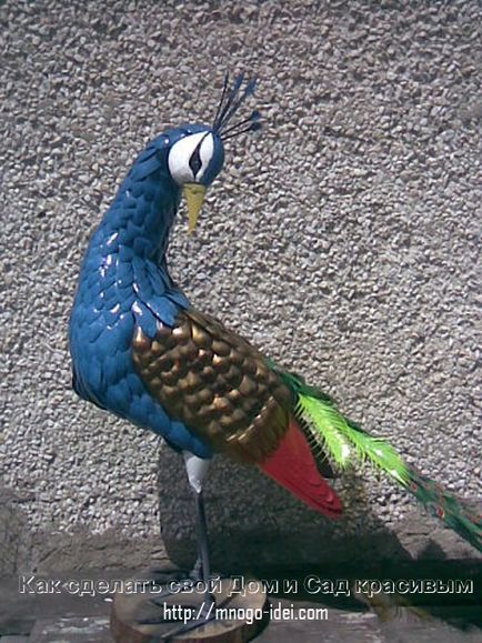 master-class Peacock