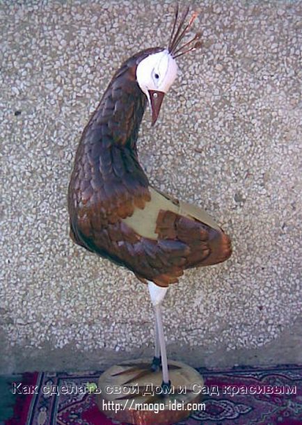 master-class Peacock