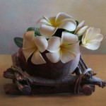 îngrijire Plumeria la domiciliu, prin transfer, reproducere, boala