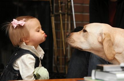 De ce nu pot săruta motive principale câini și explicații logice
