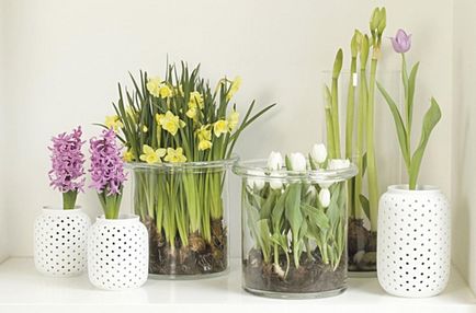Artizanat pentru a decora mâini fotografie bucătărie (decor) Artizanat pentru a decora bucătărie cu mâinile fotografia lui