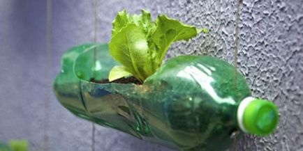 Articole din sticle de plastic pentru utilizarea interesantă grădină de plastic