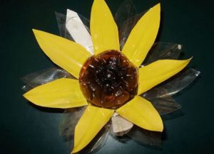 Floarea-soarelui din sticle de plastic