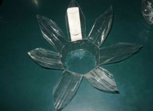 Floarea-soarelui din sticle de plastic