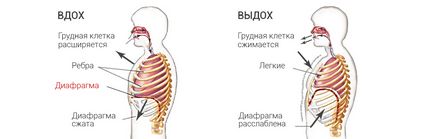 respirație corectă în timpul exercițiului (stres) respirație corectă în timpul exercițiului