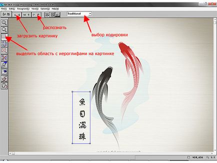 software de recunoaștere a caracterului, colț Mao, să învețe chineză, să învețe caractere chinezești