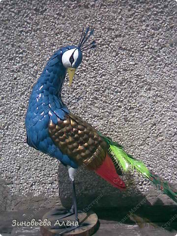 Bird - Peacock - din sticle de plastic, pentru grădină