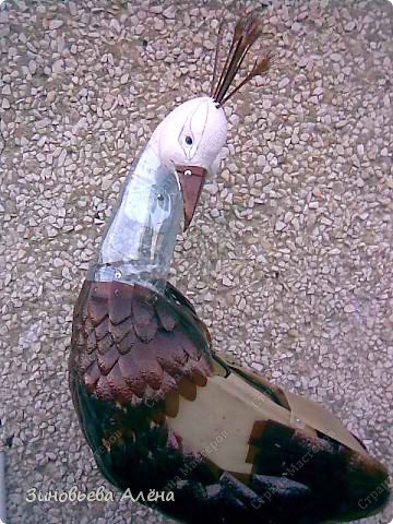 Bird - Peacock - din sticle de plastic, pentru grădină