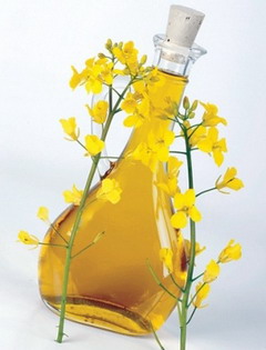 ulei de rapiță (ulei de canola Utilizare) ulei de rapiță