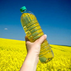 ulei de rapiță (ulei este disponibil) ulei de rapiță