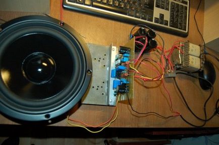 Subwoofer cu mâinile (51 poze) () Subwoofer cu mâinile (51 poze)