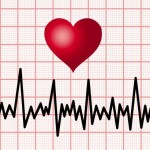 Bătaia inimii fătului în timpul sarcinii - rata de frecvență de săptămână, sertsebienie studiu