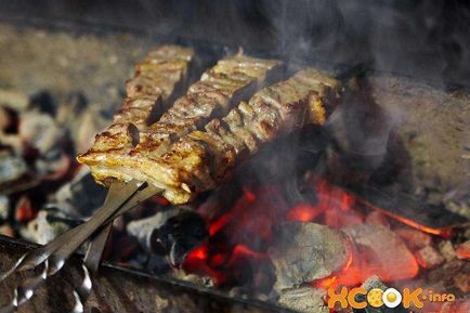 Frigarui de miel 8 cele mai bune rețete (kebab) Frigarui de miel 8 cele mai bune rețete