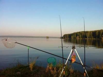Metode de capturare podleschika (podleschika) Moduri de capturare plătică alb