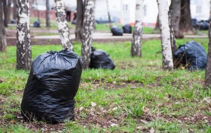 Curățarea conceptului, importanța, istoricul apariției, muncă voluntară astăzi, fotografii