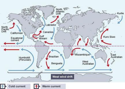 Curenții Ocean World