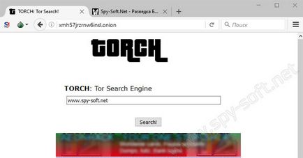 Tor motor de căutare sau într-o rețea pentru a găsi site-ul torusului dreapta ceapa