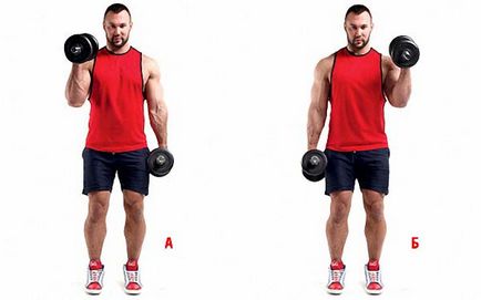 Trei exerciții pentru brachialis biceps pentru masive
