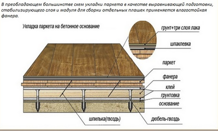 De parchet lor specii mâini, tehnologie, instruire, sfaturi