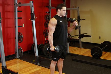 Exercitarea ciocane secrete, tehnici și erori în execuție, trainingbody (efectuarea) Exercitarea ciocane secrete, tehnici și erori în execuție, trainingbody