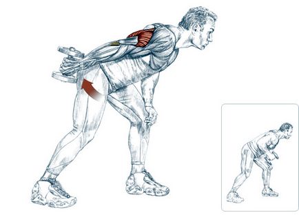 exerciții de triceps - cel mai bun set de tehnici de descriere (exerciții) exerciții de triceps - cel mai bun set de tehnici de descriere