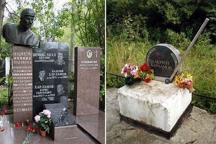 Valery Kharlamov - biografie, fotografii, viața personală, hochei și cauza decesului