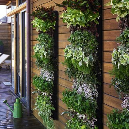 grădinărit verticală cabana pozate (dacha) grădinărit verticală la cabana Photo