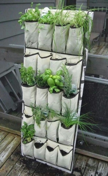 grădinărit verticală la cabana Photo