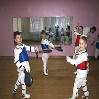 Alegerea unei arte martiale pentru copil, corp la corp românesc (corp la corp) Alegerea unei arte martiale pentru copil, Dogfight română