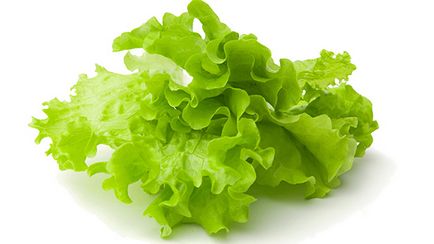 Cultivăm salata verde pe un pervaz acasă