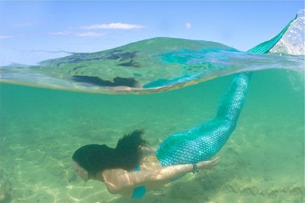 Totul despre Sirene (Mermaids sunt foarte mândru de) Totul despre Sirene