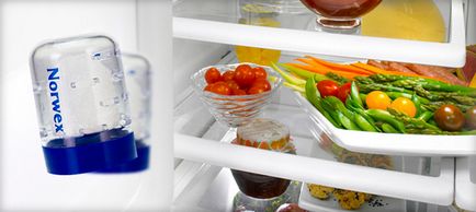 Mirosul în frigider - cum să scape rapid de popular, și magazin înseamnă, video și recenzii