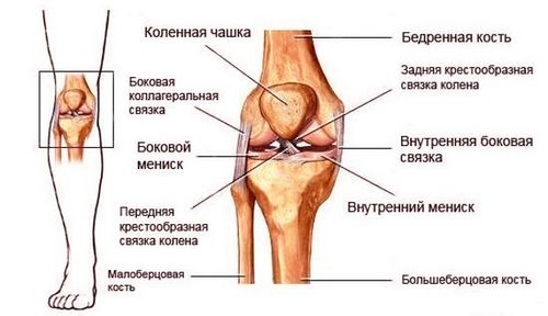 як лікувати розрив колінних зв'язок