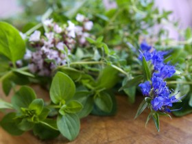 лікування дисбактеріозу народними засобами домашні умови