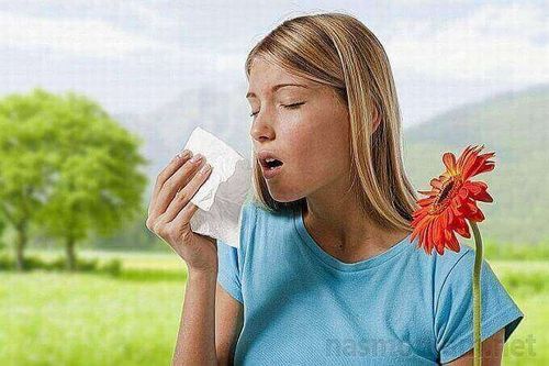 алергія