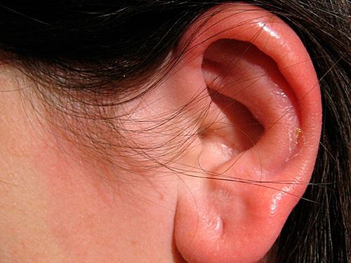 як лікувати демодекс в вухах