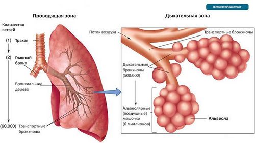 як лікувати алергічну астму