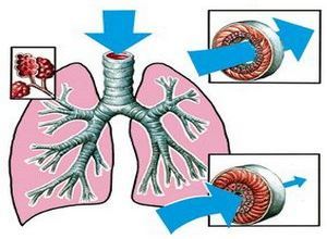 форми бронхіальної астми